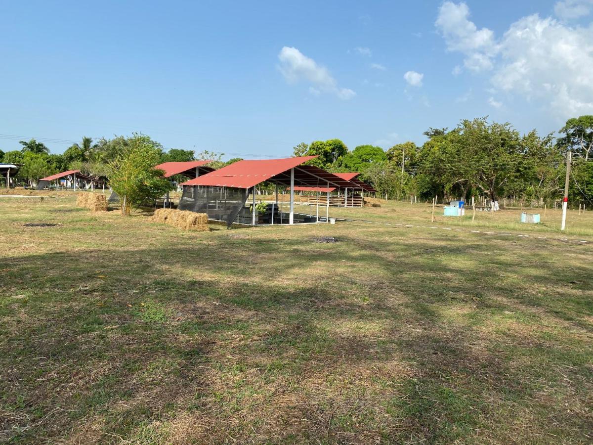 Hotel - Granja De Animales San Basilio De Palenque San Basilio del Palenque Exterior foto